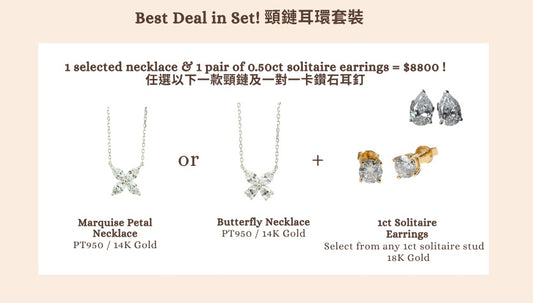 November Promotion - Petals / Butterfly Necklace & Earrings Set